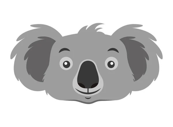Koala yüz Avustralya vahşi beyaz arka plan — Stok Vektör