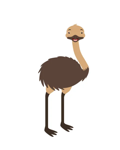 Emu fauna on white background — Stock Vector