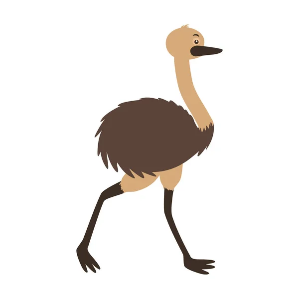 Faune emu sur fond blanc — Image vectorielle