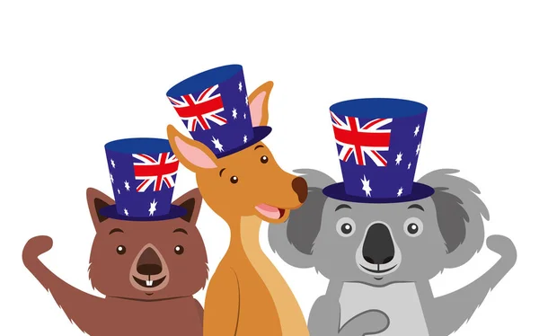 Canguro koala e wombat con cappello bandiera australiana — Vettoriale Stock