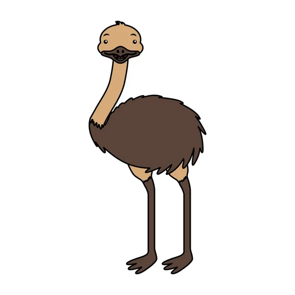 Emu fauna australiana sobre el fondo — Vector de stock