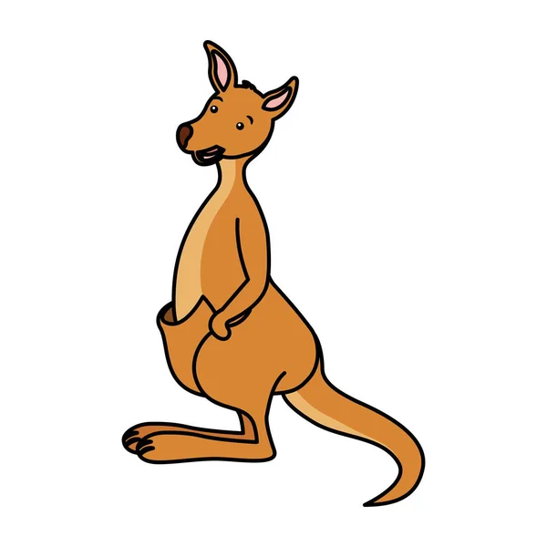 Canguro fauna australiana sobre fondo blanco — Vector de stock