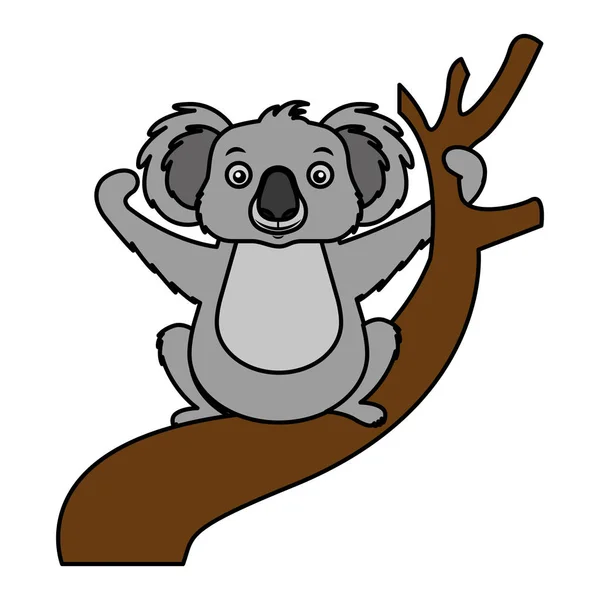 Koala hayvanı dalı — Stok Vektör