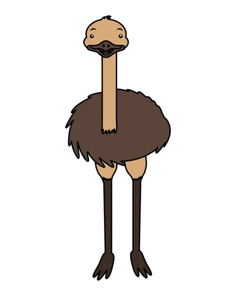 Faune emu sur fond blanc — Image vectorielle