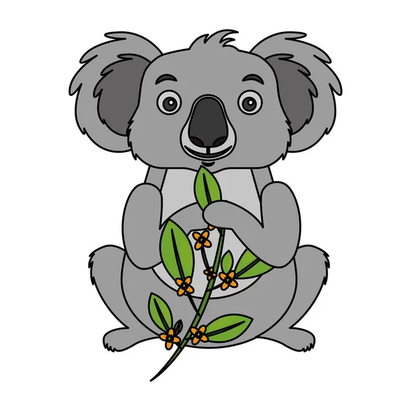Koala yeme şube okaliptüs — Stok Vektör