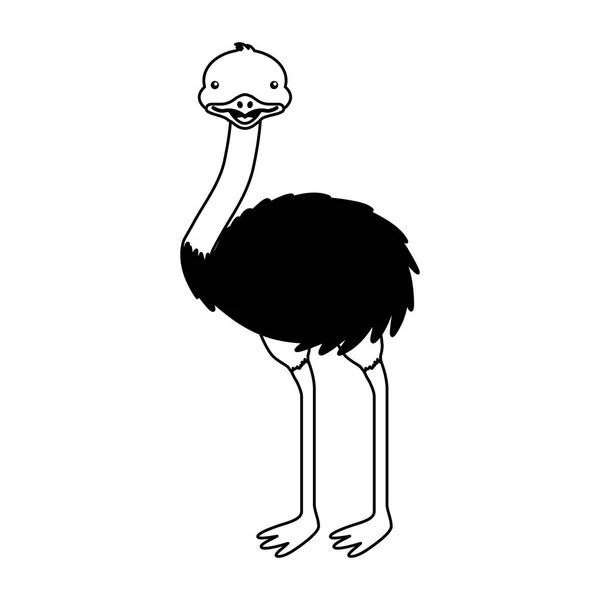 Emu fauna australiana sobre el fondo — Vector de stock