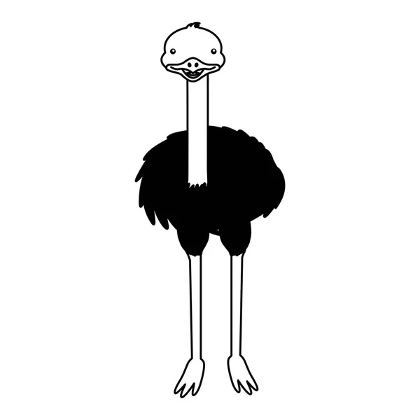 Emu fauny na białym tle — Wektor stockowy