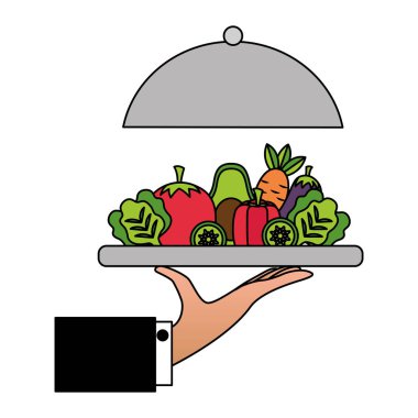 sebze yemek sağlıklı gıda üzerinde tutan el