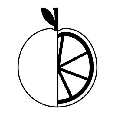 beyaz arkaplanda portakal meyvesi