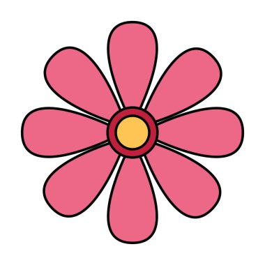 Beyaz arkaplanda Daisy çiçeği