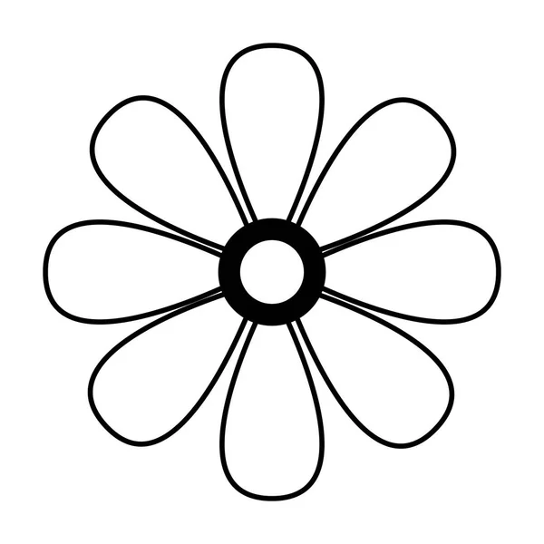 Fleur de marguerite sur fond blanc — Image vectorielle