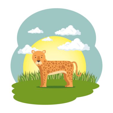 alan sahne sevimli leopar