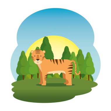 alan sahne sevimli kaplan