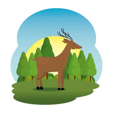 alan sahne sevimli geyik