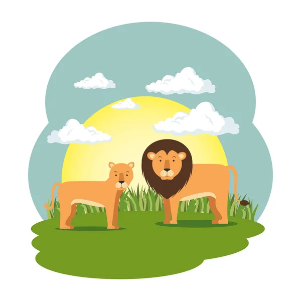 Lindo león en la escena de campo — Vector de stock