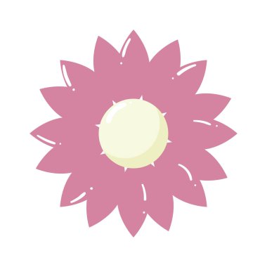 Beyaz arka plan üzerinde narin çiçek