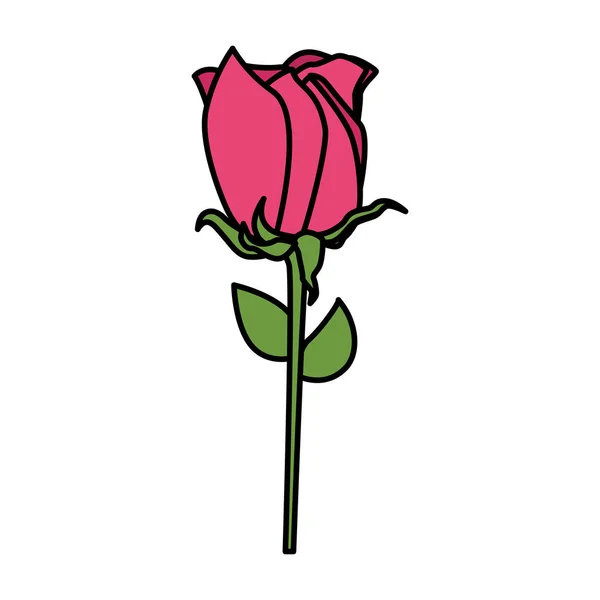 Hermosa flor de rosa icono decorativo — Vector de stock