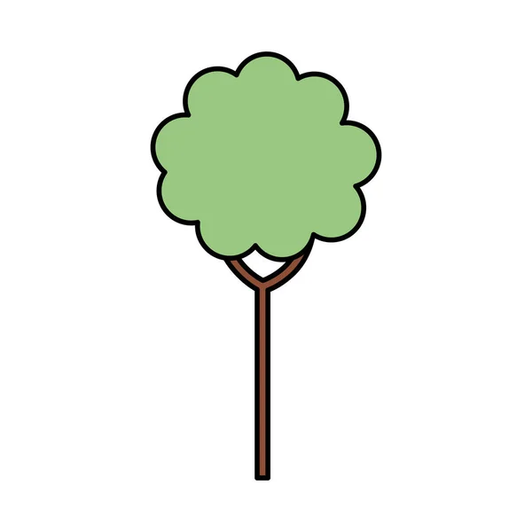 Baumpflanze isoliert Symbol — Stockvektor