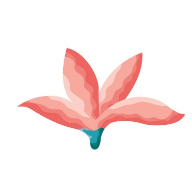 çiçek yaprakları beyaz zemin üzerine bırakır.