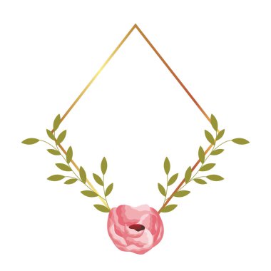 dekorasyon çerçeve çiçek gül yaprakları