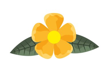 çiçek yaprakları beyaz zemin üzerine bırakır.