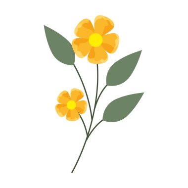 çiçekler beyaz arka plan üzerinde botanik kök