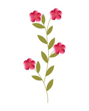 Botanik üzerinde beyaz arka plan vektör çizim çiçek kök