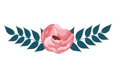 Beyaz arka plan üzerinde çiçek yaprakları şube