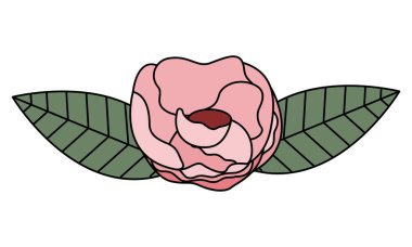 çiçek yaprakları beyaz zemin üzerine bırakır.