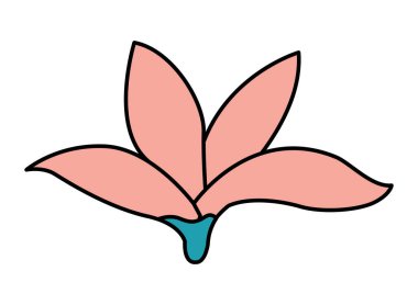 çiçek yaprakları beyaz zemin üzerine bırakır.