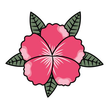 çiçek yaprakları beyaz zemin üzerine bırakır.