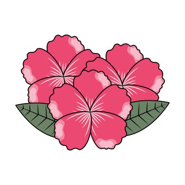 çiçekler yaprak yeşillik beyaz arka plan üzerinde