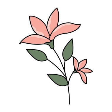 çiçek kök botanik beyaz arka plan üzerinde