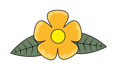 çiçek yaprakları beyaz zemin üzerine bırakır.