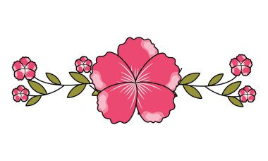 çiçekler beyaz arka plan üzerinde botanik kök