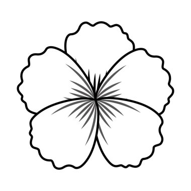 Beyaz arka plan üzerinde çiçek süsleme