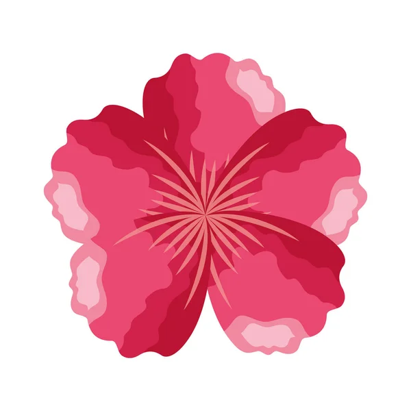 白地にピンクの花飾り — ストックベクタ