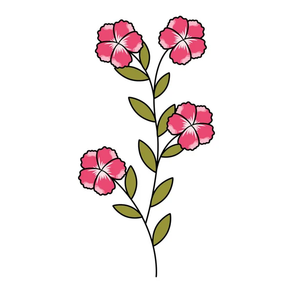 Flores tallo botánico sobre fondo blanco — Vector de stock