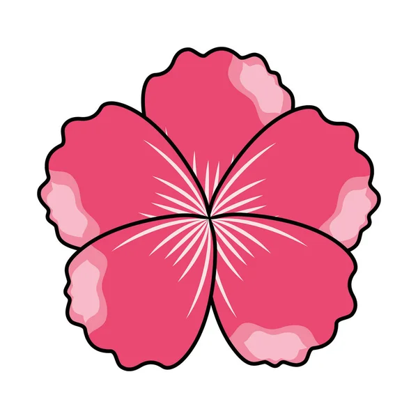 Růžový květ ornament na bílém pozadí — Stockový vektor