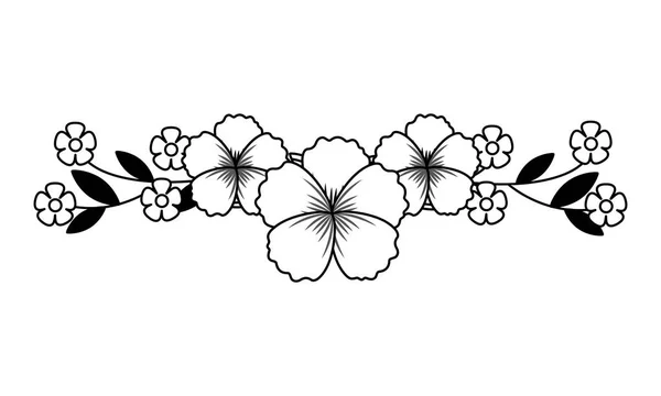 Çiçekler beyaz arka plan üzerinde botanik kök — Stok Vektör