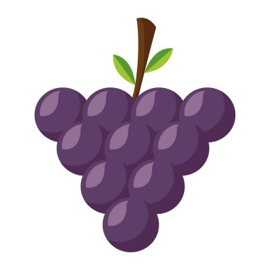 sağlıklı yiyecek taze