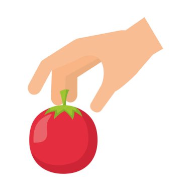 sağlıklı yiyecek taze