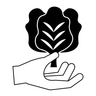 sağlıklı yiyecek taze