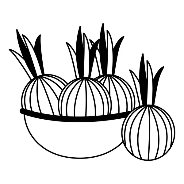 soğan sağlıklı gıda ile kase