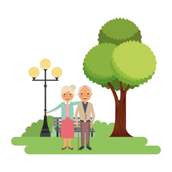 Älteres Ehepaar gemeinsam im Park — Stockvektor
