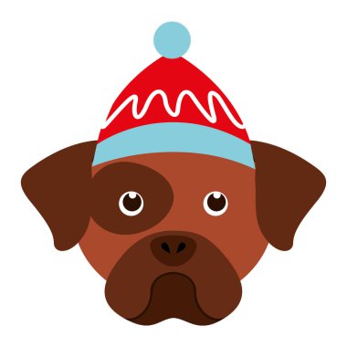 köpek mutlu Noeller