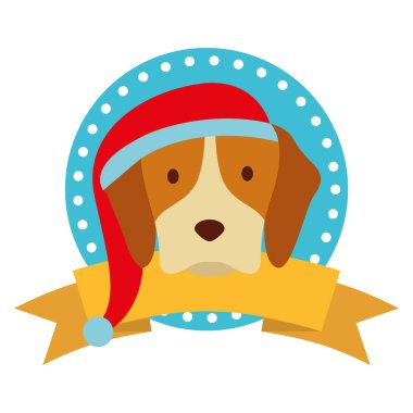 köpek mutlu Noeller