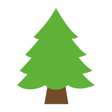 beyaz arkaplanda çam ağacı