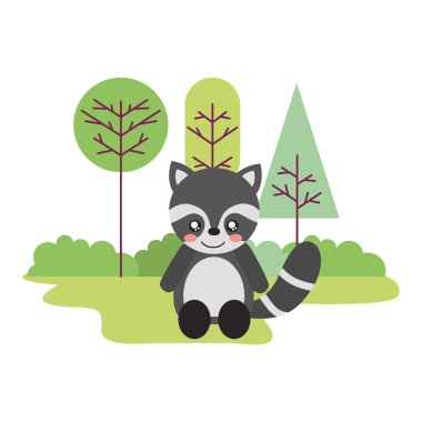 içinde belgili tanımlık açık havada oturma sevimli rakun