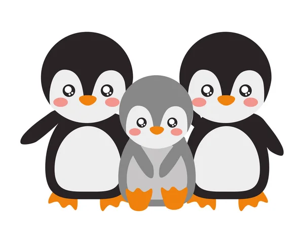 Cute family penguins animals cartoon — 스톡 벡터